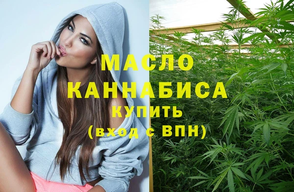 сатива Коряжма