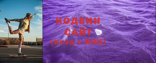 сатива Коряжма