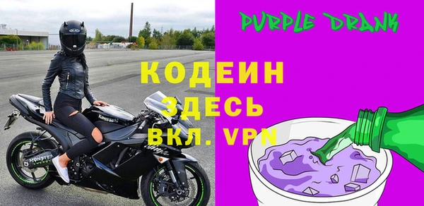 сатива Коряжма