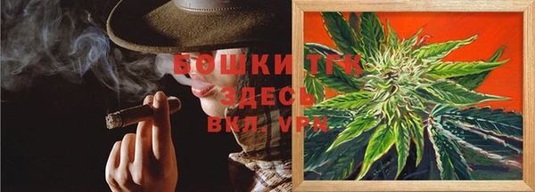 сатива Коряжма