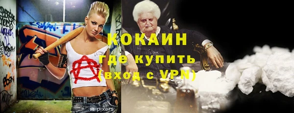 сатива Коряжма